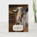 Search for 79th birthday cards Humour