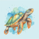 Search for turtle love stickers Watercolor