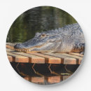 Search for amphibian plates Wildlife