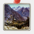Search for estes park christmas tree decorations Colorado