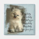 Search for fluffy white magnets Kitten