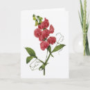 Search for sweet peas postcards Bouquet