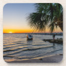 Search for gulf coasters Florida