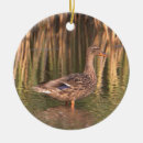 Search for mallard duck christmas tree decorations Ducks