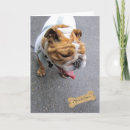 Search for anticipate cards Dog