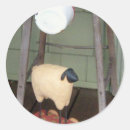 Search for prim Sheep
