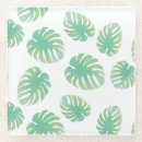 Search for monstera coasters Leaves