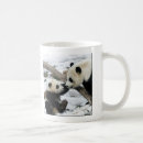 Search for panda baby mugs Pandas