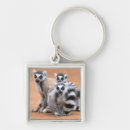 Search for tailed key rings Madagascar