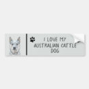 Search for blue heeler bumper stickers Cattle