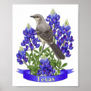 Search for states posters Texas