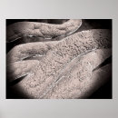 Search for plaques art Illustration