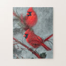 Search for cardinal bird puzzles Beautiful