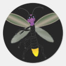 Search for lightning bug stickers Insect