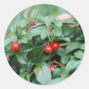 Search for ecology stickers Botanical