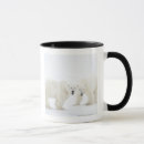 Search for 2 bears mugs Nature