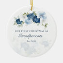 Search for dusty blue christmas tree decorations Keepsake