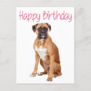 Search for boxer dog birthday cards Puppies
