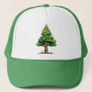 Search for evergreen hats Pine
