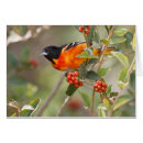 Search for padre postcards Colour