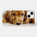 Search for cocker spaniel iphone cases Dog