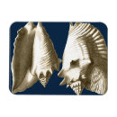 Search for shading rectangular magnets Seashell