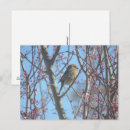 Search for tree blossoms postcards Photography