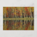 Search for fall foliage postcards Season
