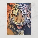 Search for tiger face postcards Wild