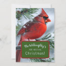 Search for cardinal wedding invitations Red and green