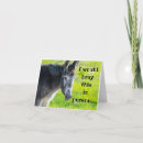 Search for donkey birthday cards Adult