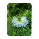 Search for cornflower blue kitchen accessories Centaurea