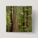 Search for monument badges Muir woods national monument