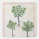 Search for herbal medicine stickers 15th