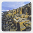 Search for giants stickers Northern ireland