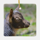 Search for baby goat christmas tree decorations Kid