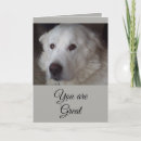 Search for great pyrenees dog postcards Big