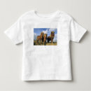 Search for shetland tshirts Scottish