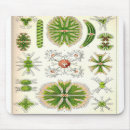 Search for botanist electronics Botany