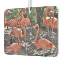 Search for flamingo car air fresheners Pink