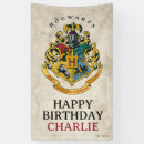 Search for harry potter birthday decor Gryffindor