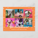 Search for sweet orange postcards Cute