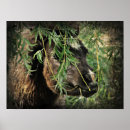 Search for filly posters Horse