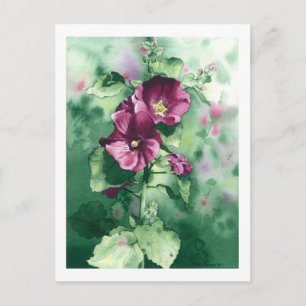 0007 Dorothy's Hollyhocks Postcard