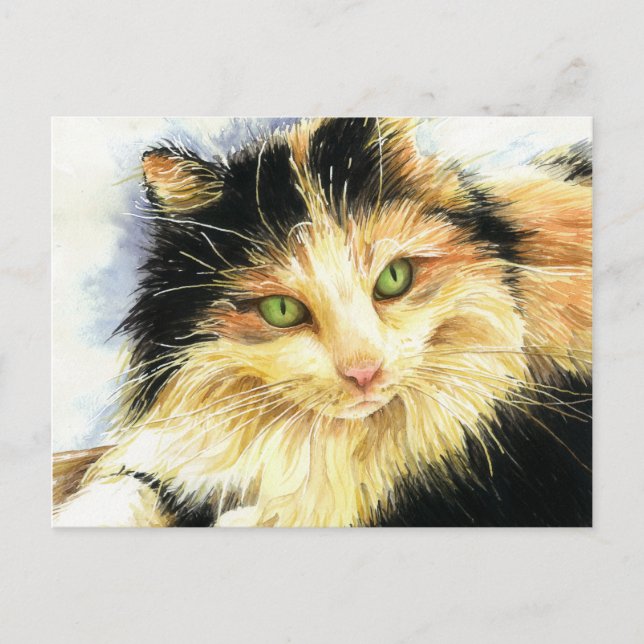 0010 Calico Cat Postcard (Front)