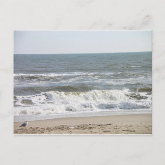 001 LBI waves Postcard