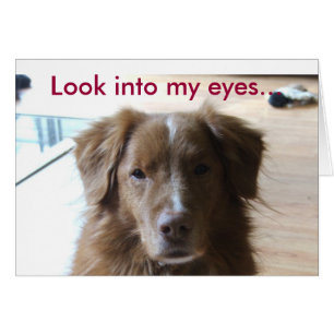 0029, Look into my eyes...