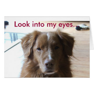 0029, Look into my eyes...