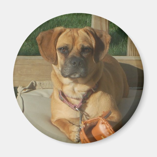 003 Puggle magnet (Front)