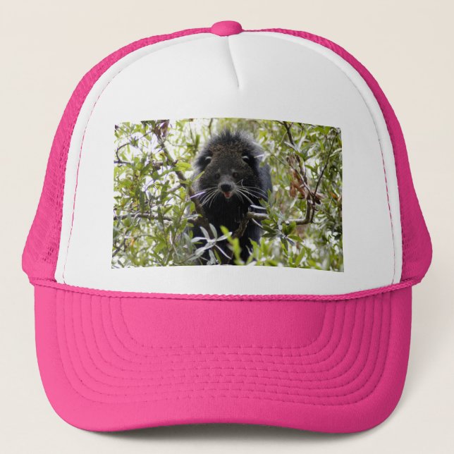 004Bearcat Trucker Hat (Front)